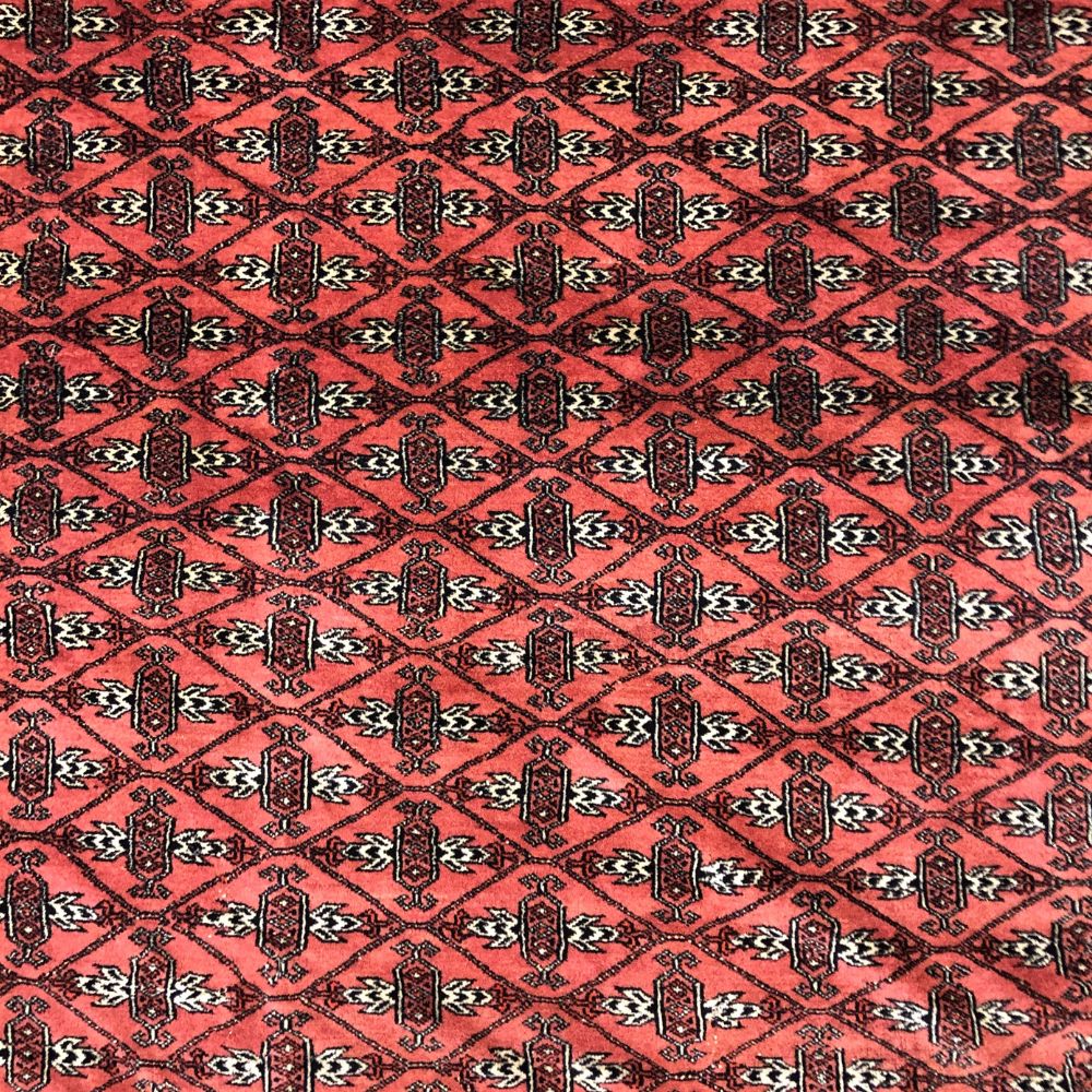 Bokhara Rug from Pakistan - 8'5" x 11'1" - Handmade Rugs - Vintage Rugs