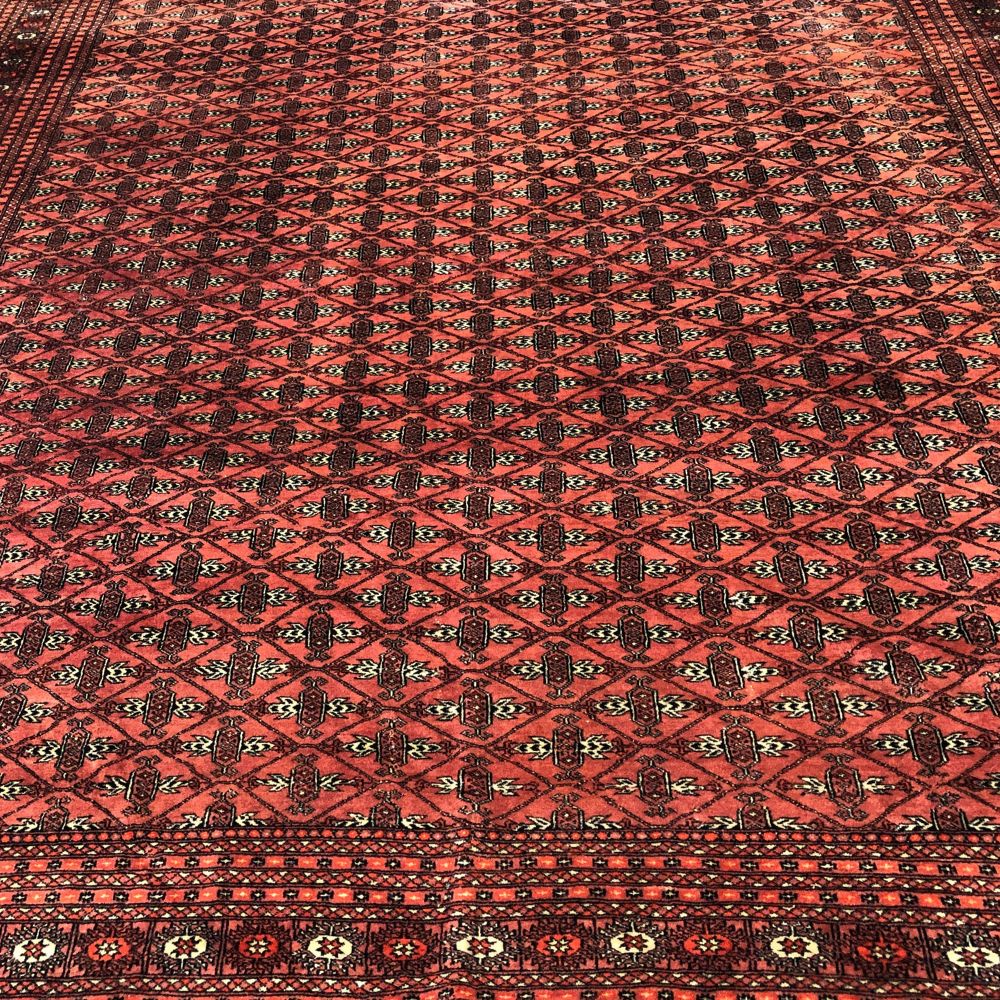 Bokhara Rug from Pakistan - 8'5" x 11'1" - Handmade Rugs - Vintage Rugs
