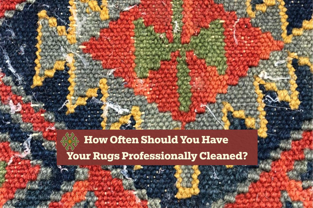 Rug Moths: How to Detect, Treat, and Prevent Carpet Moth Damage