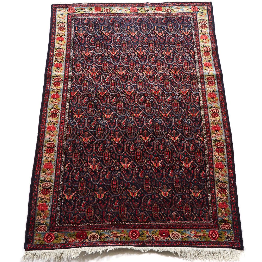 Persian Rug - Senneh 4'10" x 6'9"