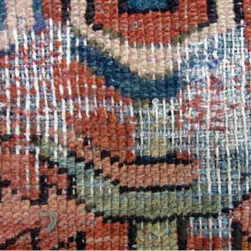Rug Moth - moth larvae in rugs - Carpet Moth