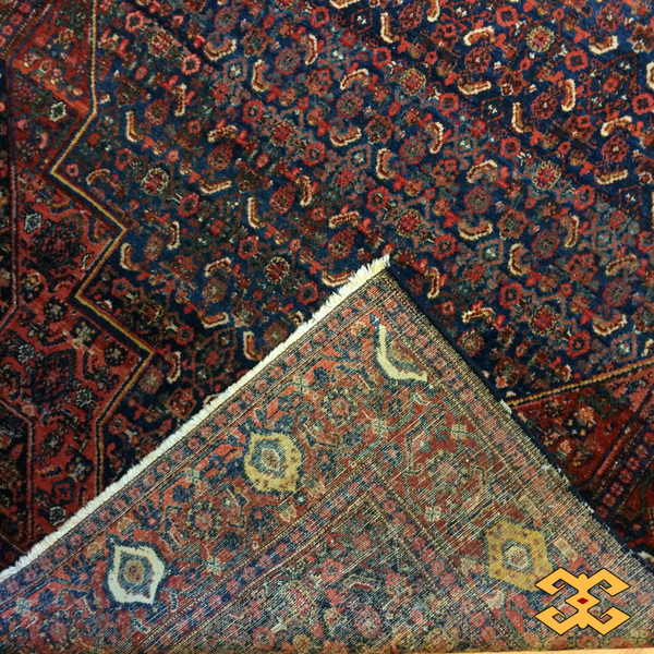 Persian Rug Senneh 4'6" x 6'5"